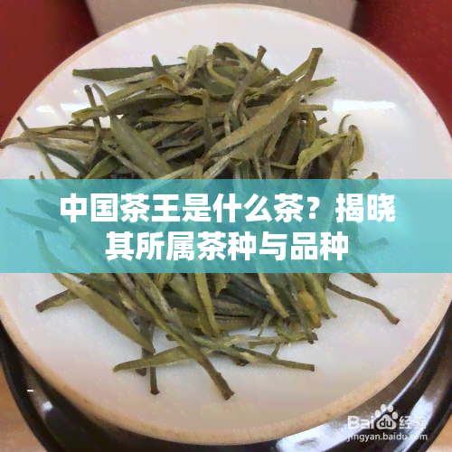 中国茶王是什么茶？揭晓其所属茶种与品种