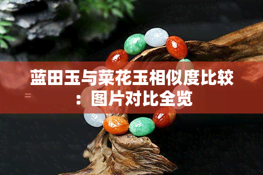 蓝田玉与菜花玉相似度比较：图片对比全览