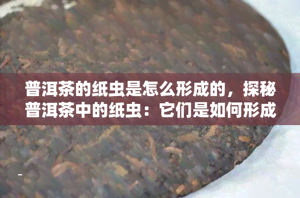 普洱茶的纸虫是怎么形成的，探秘普洱茶中的纸虫：它们是如何形成的？