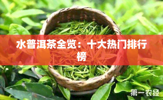 水普洱茶全览：十大热门排行榜