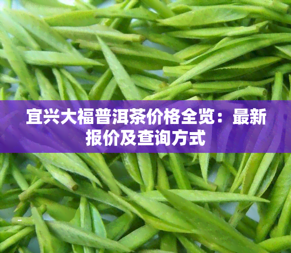 宜兴大福普洱茶价格全览：最新报价及查询方式