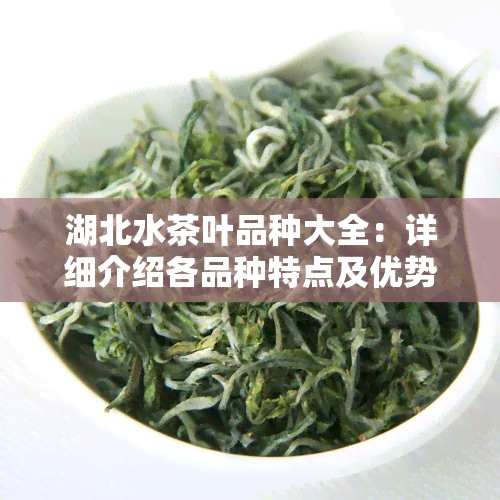 湖北水茶叶品种大全：详细介绍各品种特点及优势