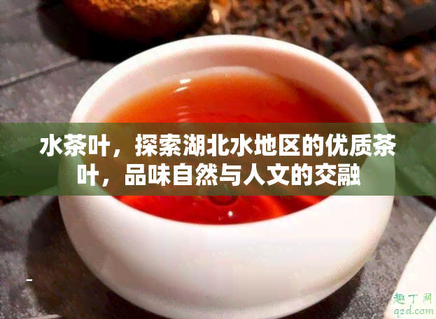 水茶叶，探索湖北水地区的优质茶叶，品味自然与人文的交融