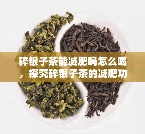 碎银子茶能减肥吗怎么喝，探究碎银子茶的减肥功效：如何正确饮用？