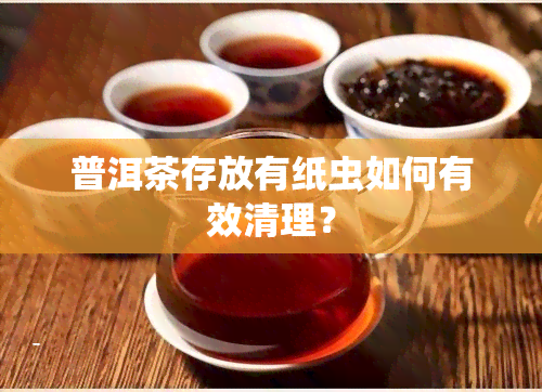 普洱茶存放有纸虫如何有效清理？