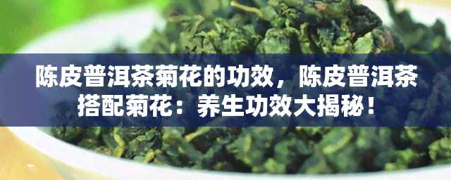 陈皮普洱茶菊花的功效，陈皮普洱茶搭配菊花：养生功效大揭秘！