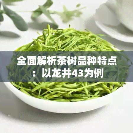 全面解析茶树品种特点：以龙井43为例