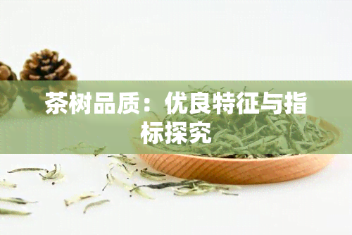 茶树品质：优良特征与指标探究