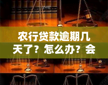 农行贷款逾期几天了？怎么办？会有影响吗？会被起诉吗？