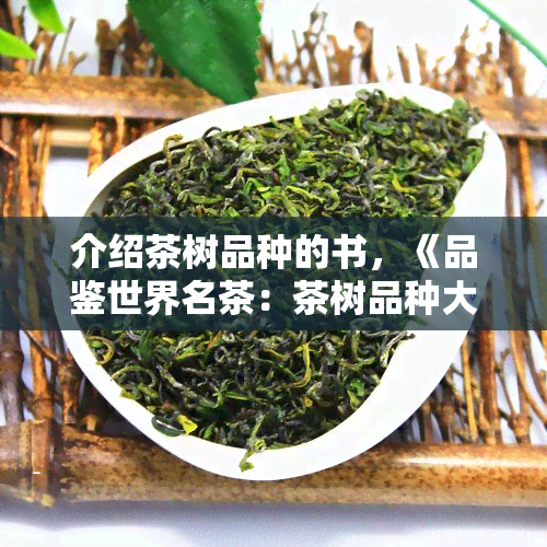 介绍茶树品种的书，《品鉴世界名茶：茶树品种大全》