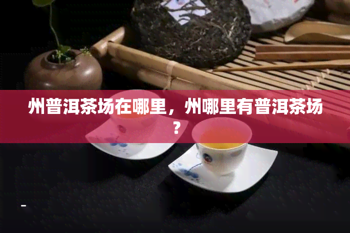 州普洱茶场在哪里，州哪里有普洱茶场？