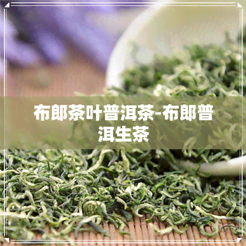 布郎茶叶普洱茶-布郎普洱生茶