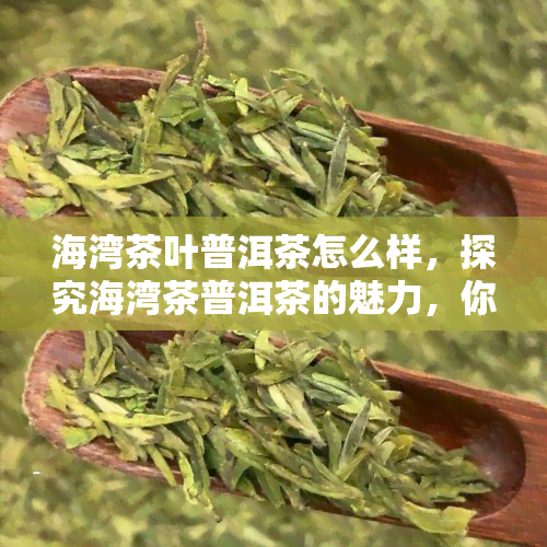 海湾茶叶普洱茶怎么样，探究海湾茶普洱茶的魅力，你不能错过的口感体验！