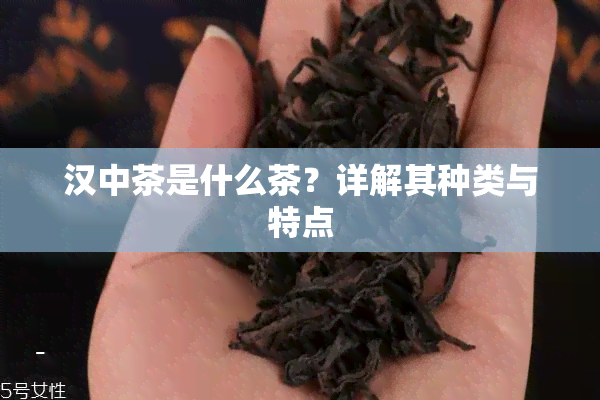 汉中茶是什么茶？详解其种类与特点