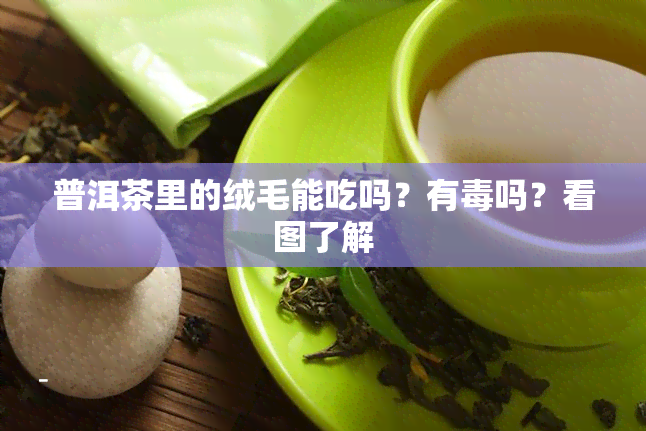 普洱茶里的绒毛能吃吗？有吗？看图了解