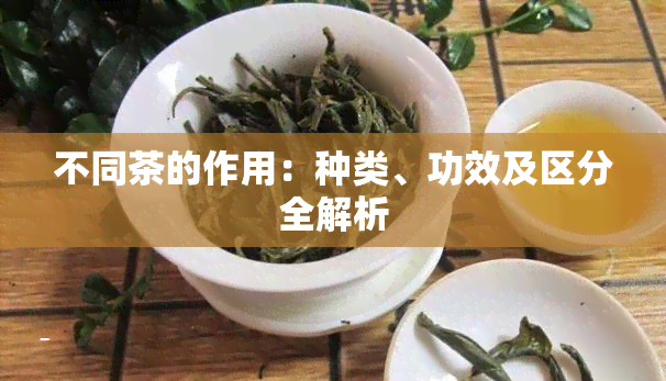 不同茶的作用：种类、功效及区分全解析