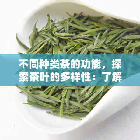 不同种类茶的功能，探索茶叶的多样性：了解不同种类茶的功能与好处