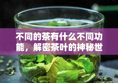 不同的茶有什么不同功能，解密茶叶的神秘世界：探索不同茶类的独特功效与作用