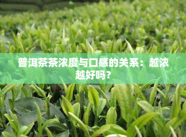 普洱茶茶浓度与口感的关系：越浓越好吗？