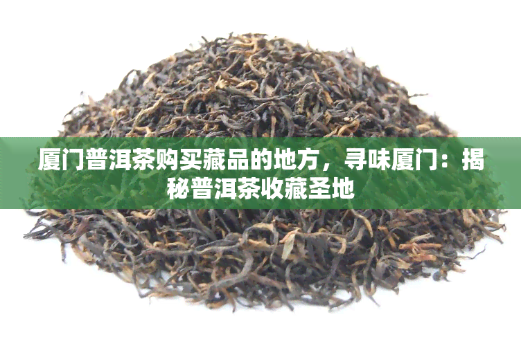 厦门普洱茶购买藏品的地方，寻味厦门：揭秘普洱茶收藏圣地