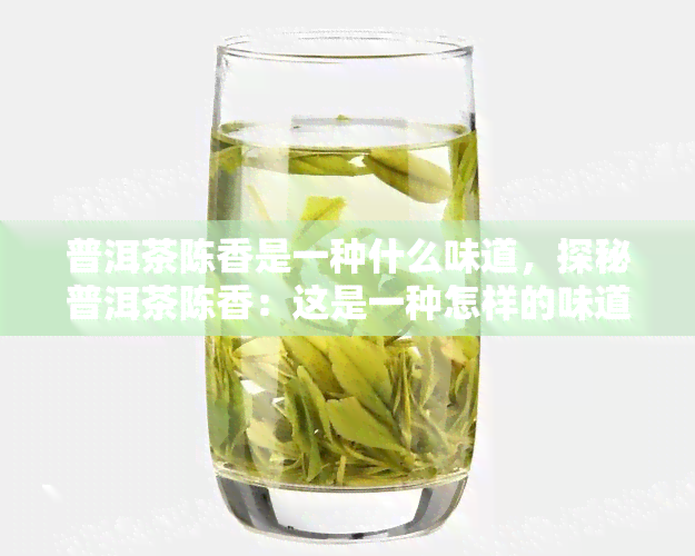 普洱茶陈香是一种什么味道，探秘普洱茶陈香：这是一种怎样的味道体验？