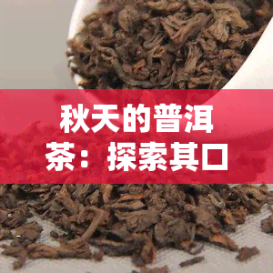 秋天的普洱茶：探索其口感与故事