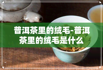 普洱茶里的绒毛-普洱茶里的绒毛是什么