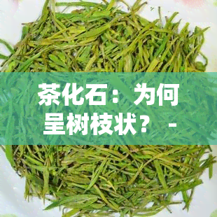 茶化石：为何呈树枝状？ - 图片解析