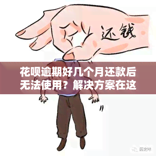 花呗逾期好几个月还款后无法使用？解决方案在这里！