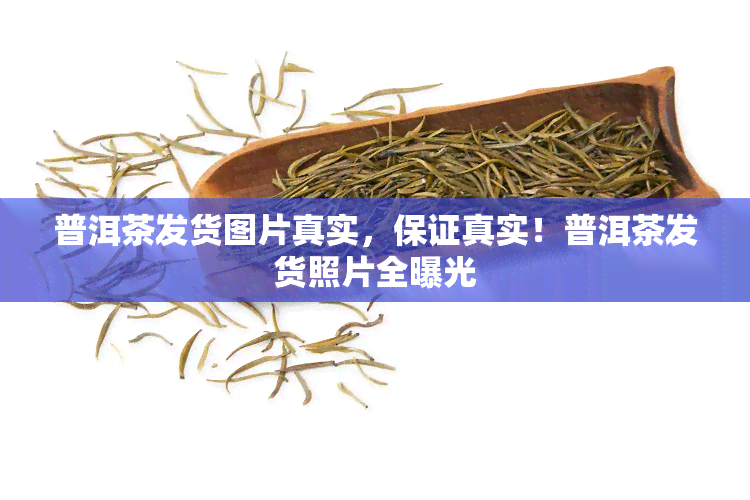 普洱茶发货图片真实，保证真实！普洱茶发货照片全曝光