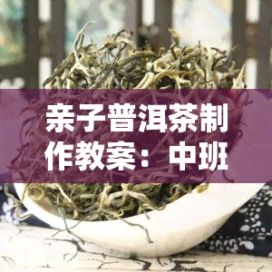 亲子普洱茶制作教案：中班设计