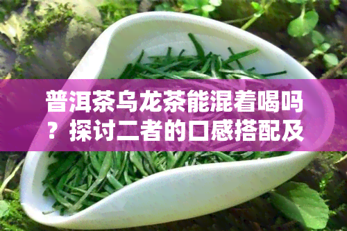 普洱茶乌龙茶能混着喝吗？探讨二者的口感搭配及适宜人群