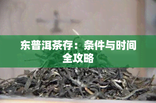 东普洱茶存：条件与时间全攻略