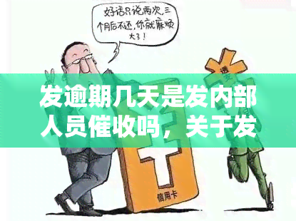 发逾期几天是发内部人员吗，关于发逾期：是否为发内部人员？