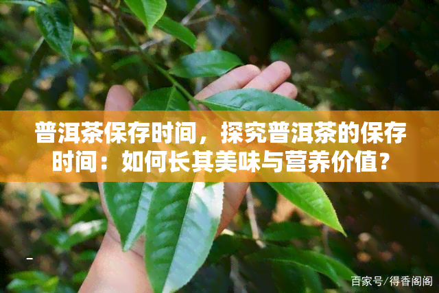 普洱茶保存时间，探究普洱茶的保存时间：如何长其美味与营养价值？