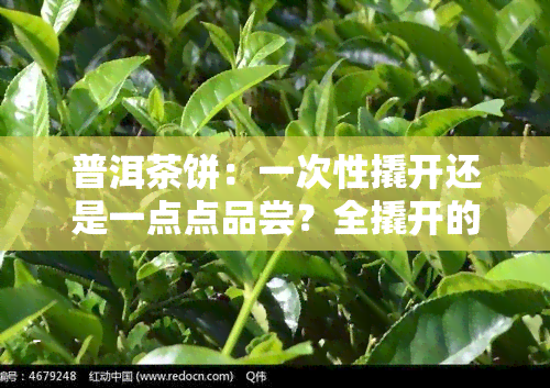 普洱茶饼：一次性撬开还是一点点品尝？全撬开的量应该是多少？