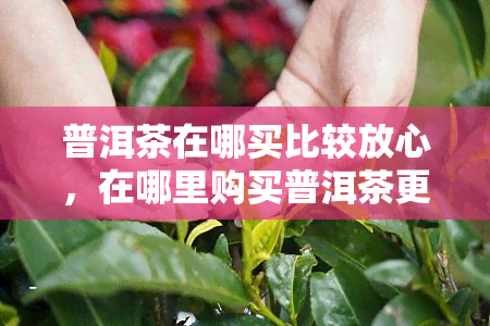 普洱茶在哪买比较放心，在哪里购买普洱茶更放心？