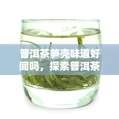 普洱茶笋壳味道好闻吗，探索普洱茶笋壳的香气：味道如何？