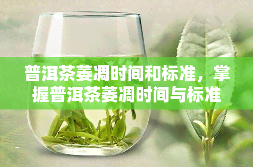 普洱茶萎凋时间和标准，掌握普洱茶萎凋时间与标准，提升茶叶品质！