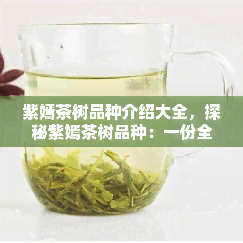 紫嫣茶树品种介绍大全，探秘紫嫣茶树品种：一份全面的介绍大全