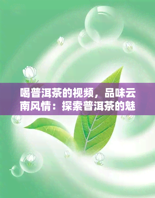 喝普洱茶的视频，品味云南风情：探索普洱茶的魅力与制作过程