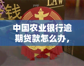 中国农业银行逾期贷款怎么办，解决逾期问题：中国农业银行贷款还款指南