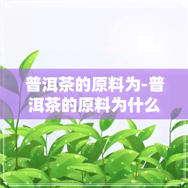 普洱茶的原料为-普洱茶的原料为什么要放几年才压饼