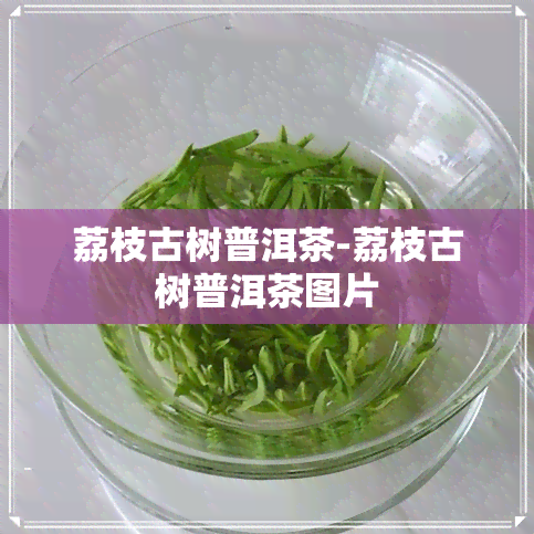 荔枝古树普洱茶-荔枝古树普洱茶图片