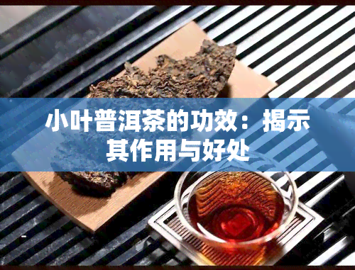 小叶普洱茶的功效：揭示其作用与好处