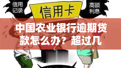 中国农业银行逾期贷款怎么办？超过几期将被要求全额还款？