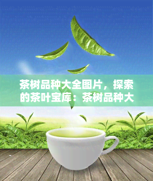 茶树品种大全图片，探索的茶叶宝库：茶树品种大全图片大