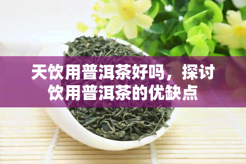 天饮用普洱茶好吗，探讨饮用普洱茶的优缺点