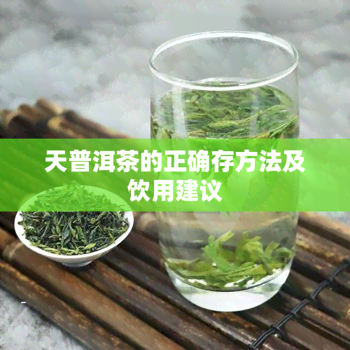 天普洱茶的正确存方法及饮用建议