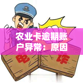 农业卡逾期账户异常：原因解析